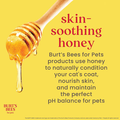 Tearless Kitten Shampoo with Buttermilk and Honey, 99% Natural Origin Gentle Cat Shampoo for Sensitive and Itchy Skin, Ph Balanced and Fragrance-Free, 10 Fl Oz