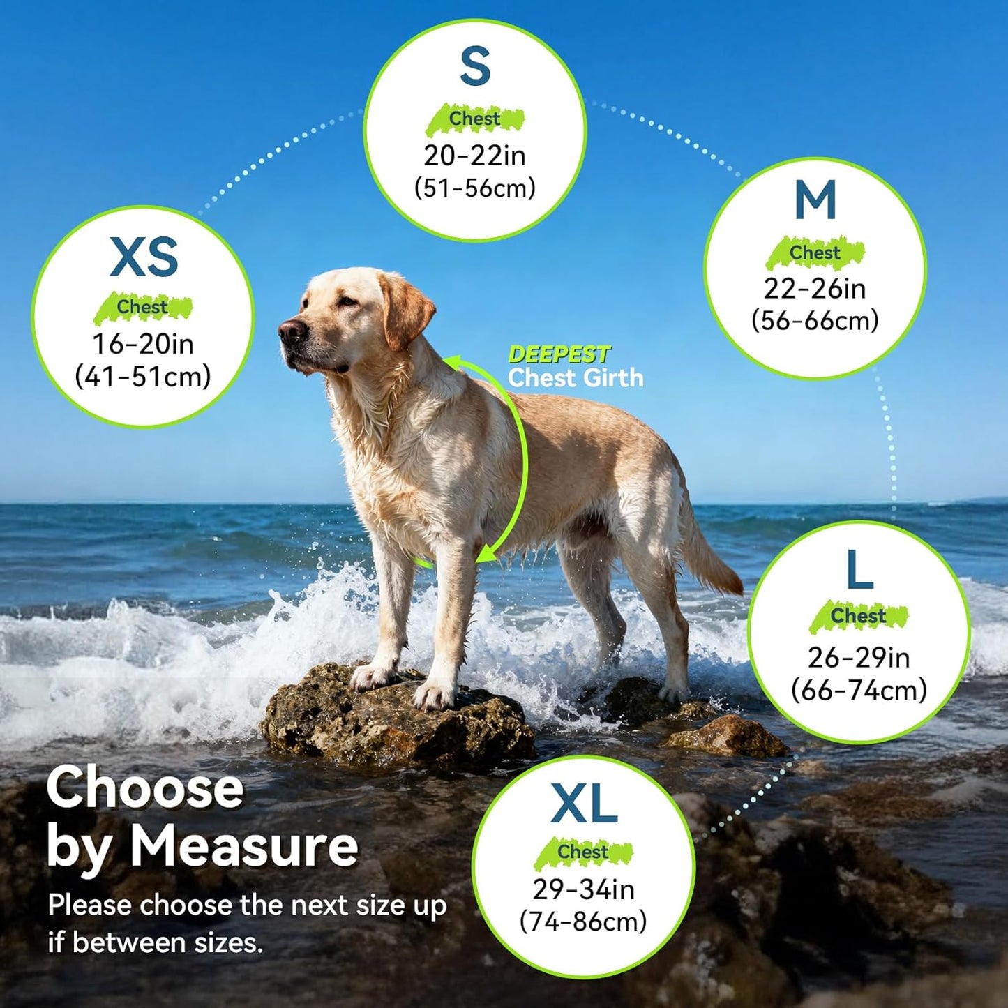Dog Life Vest Neoprene Dog Swim Vest, XS, Cyra Blue | High Visibility Adjustable for Doggy Cat Puppy, Lifejacket with Leash Ring & Handle for Swimming & Boating