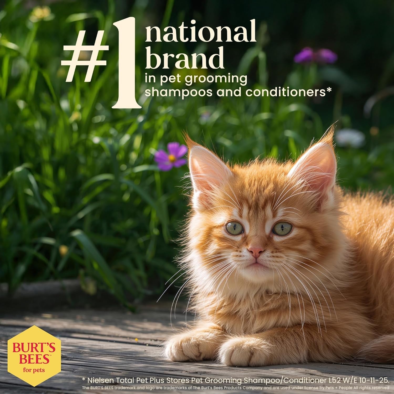 Tearless Kitten Shampoo with Buttermilk and Honey, 99% Natural Origin Gentle Cat Shampoo for Sensitive and Itchy Skin, Ph Balanced and Fragrance-Free, 10 Fl Oz