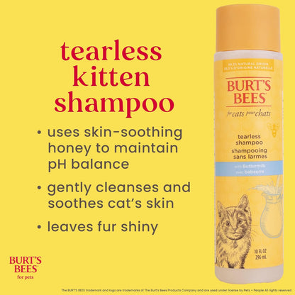 Tearless Kitten Shampoo with Buttermilk and Honey, 99% Natural Origin Gentle Cat Shampoo for Sensitive and Itchy Skin, Ph Balanced and Fragrance-Free, 10 Fl Oz
