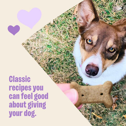 Wellness  Classic P-Nuttier Dog Biscuits, Natural Training Treats, Peanut Butter Flavor, Large Size, 6 Lb Box