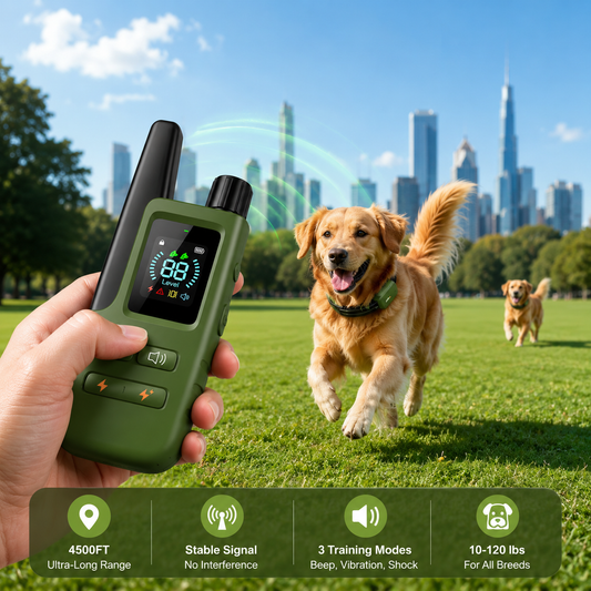 Dog Training Shock Collar